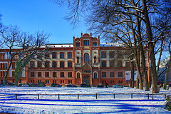 Rostock, Universität