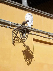 Doppio Lampione-Double lamppost