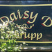 Daisy D