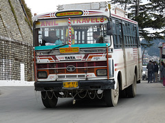 Shimla- Tata Bus (Anil Travels)