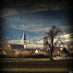 l' Alsace aux couleurs de l'hiver