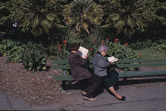Two Readers Reading