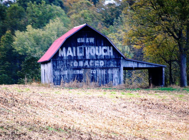 Mail Pouch