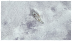 Bottle in the snow ***