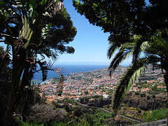 Funchal-Madeira