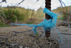 Blue rope, always around!