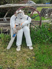 Next man in? Another local cricketing scarecrow.