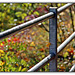 Happy Herbst Fence