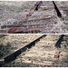 Abandoned track