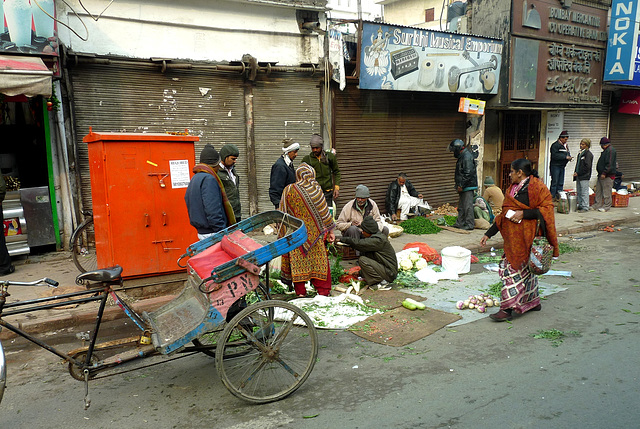 Delhi- Greengrocer #1