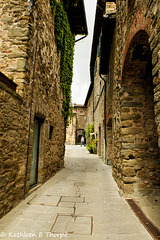 Volpaia in Chianti, Siena, Tuscany 052814-002
