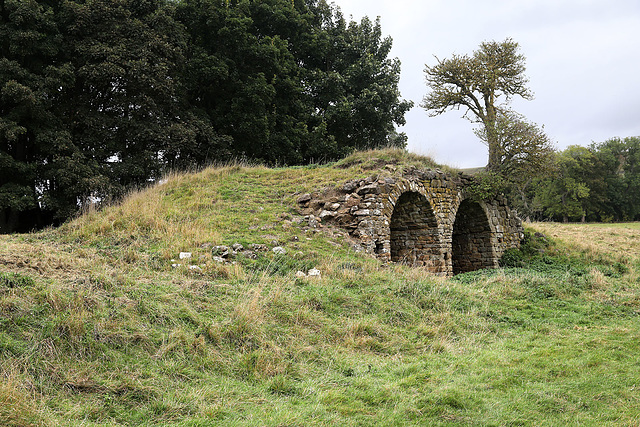 Allerton Wood kiln