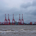 Liverpool docks from New Brighton