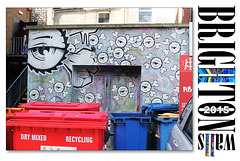I spy wheely bins - Brighton Walls - 31.3.2015
