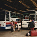 Polish coaches in Victoria Coach Station, London – 26 Jan 1996 (296-21)