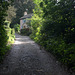 Cottage up a leafy lane