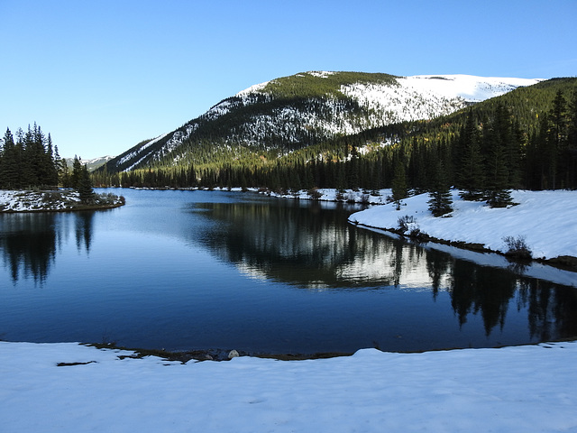 Forgetmenot Pond, Kananaskis