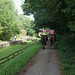 Horses on the Middlewood Way