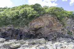 Syncline in Lower Coal Measures sandstones: Swallowtree Bay (north)