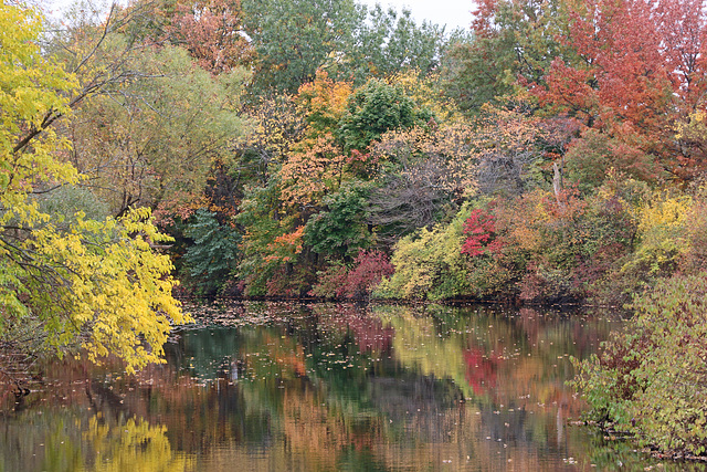 Autumn on the Charles River