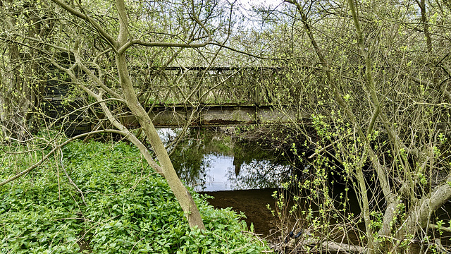 HFF Great Central Railway Rothley Leicestershire 28th April 2021