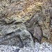Swallowtree Bay anticline-syncline couplet: detail 1