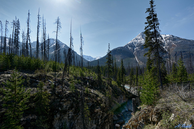 Deepest Rockies