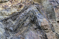 Swallowtree Bay anticline-syncline couplet: detail 2