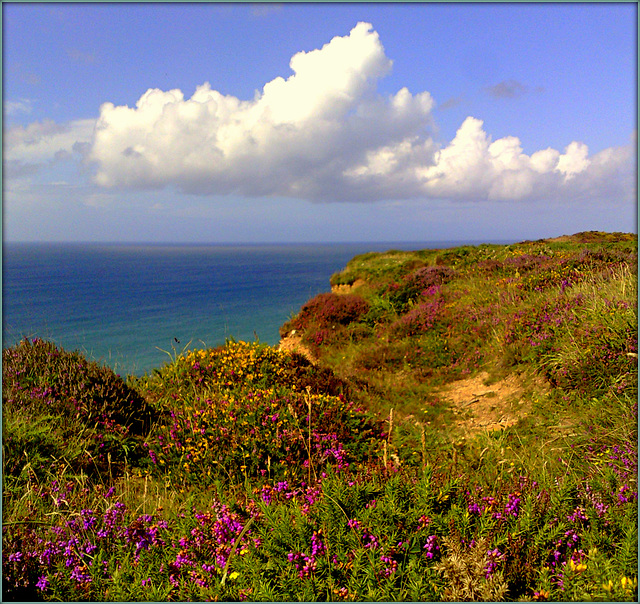 The Old Coast Path. H. A. N. W. E. everybody!