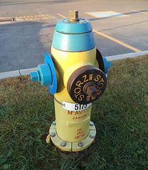 Storz 100 hydrant / Borne à incendie à saveur jaunâtre
