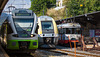 220816 Le Locle RABe TransN 81510 SNCF BDe4 4 regional 0