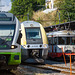 220816 Le Locle RABe TransN 81510 SNCF BDe4 4 regional 0