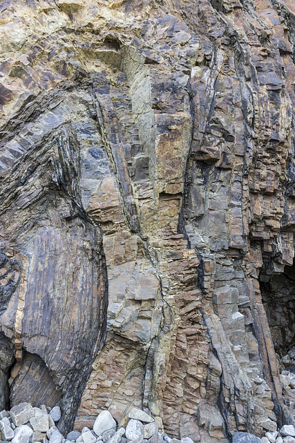 Swallowtree Bay anticline-syncline couplet: detail 6