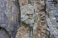 Swallowtree Bay anticline-syncline couplet: detail 7