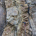 Swallowtree Bay anticline-syncline couplet: detail 8