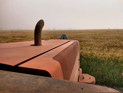 Tractor on the plain