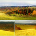 Collage of light and  colours of autumn