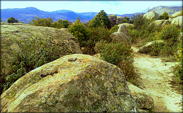 Sierra de La Cabrera on a mild January day (so not this year, that's for sure!)