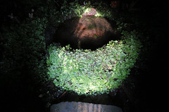 st non's well