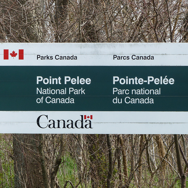 Point Pelee, Ontario, Canada