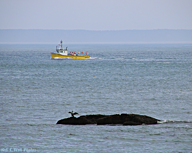 Lobster Boats and Rocks (2 of 3)