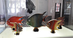 Glass fish in display.