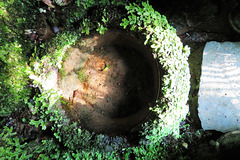 st non's well (8)