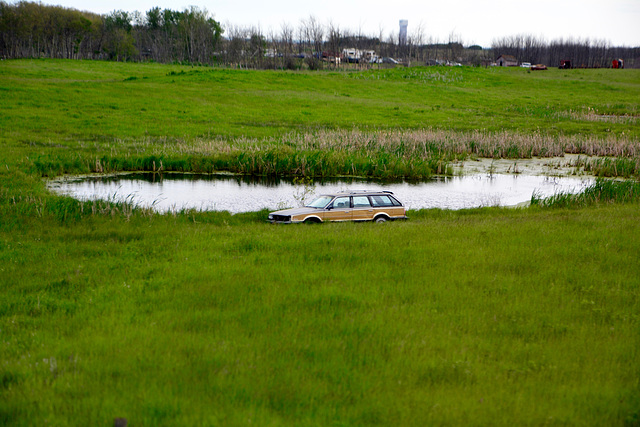 Canada 2016 – The Canadian – Car crawling out of the water
