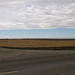 Prairie landscape / Un arrêt par principe