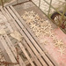 Étoiles de mer gantées / Gloved starfish
