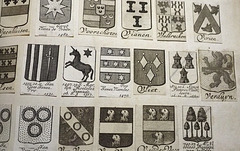 Random shots of a large selection family crests.