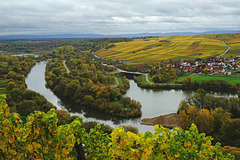 Weinberge im Rausch der Herbstfarben - Vineyards in the blaze of autumn colours