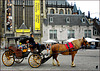 Amsterdam : antica carrozza e ombrelloni di fronte al grande museo