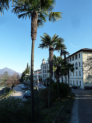 Rosmini College Of Stresa